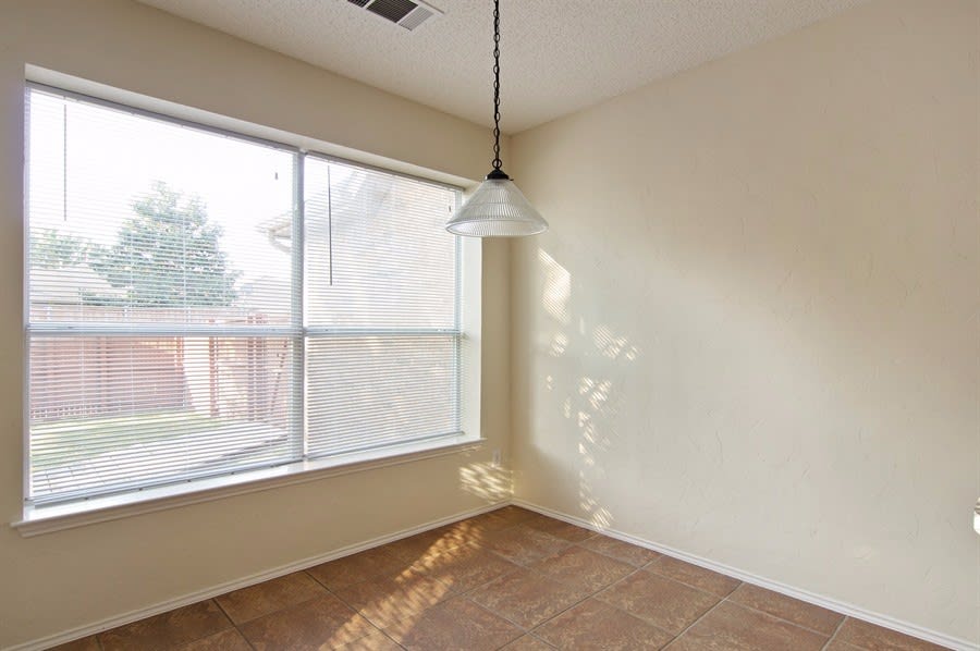 11135 Covey Ln, Frisco photo 8
