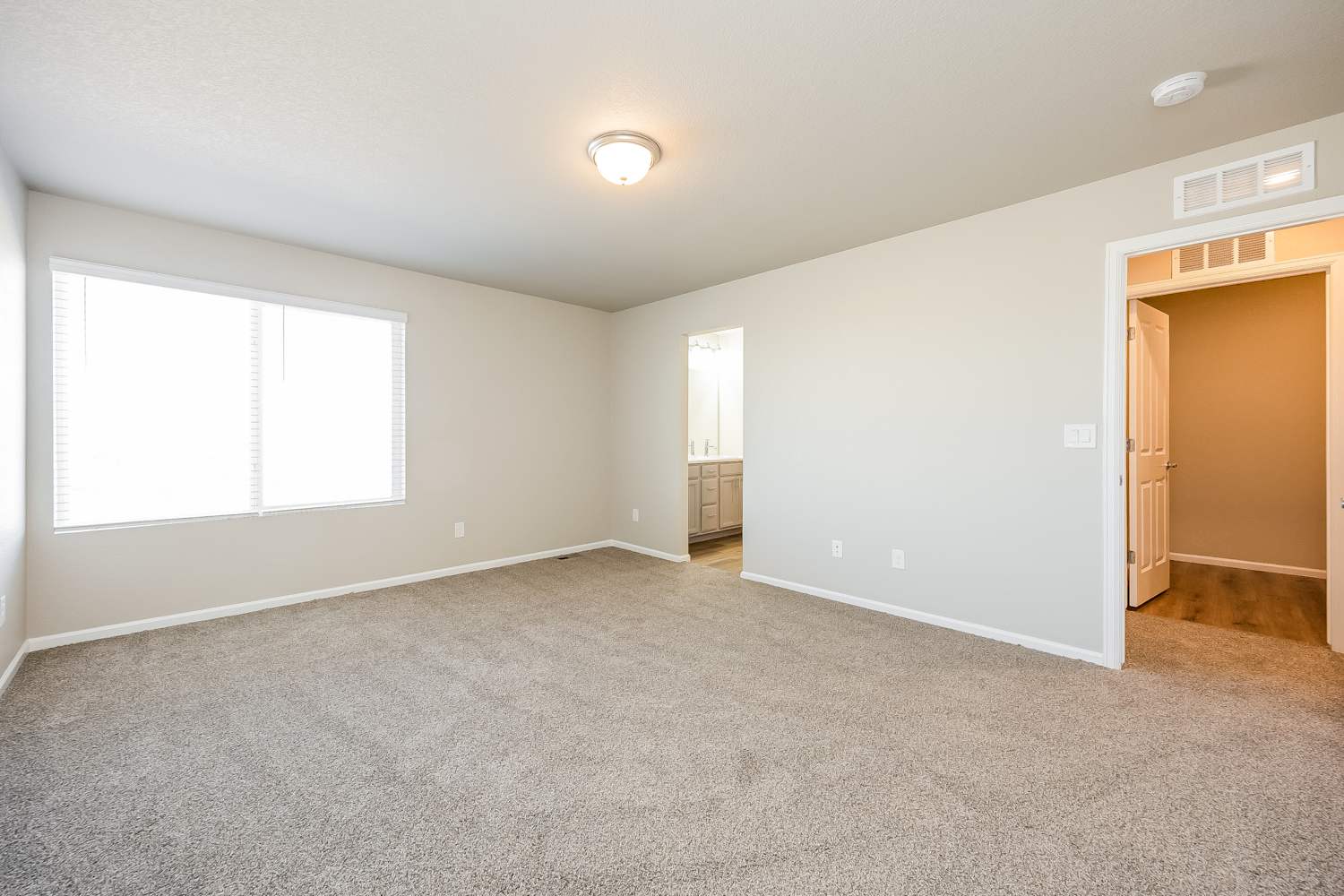 11137 House Finch Ln, Colorado Springs photo 10