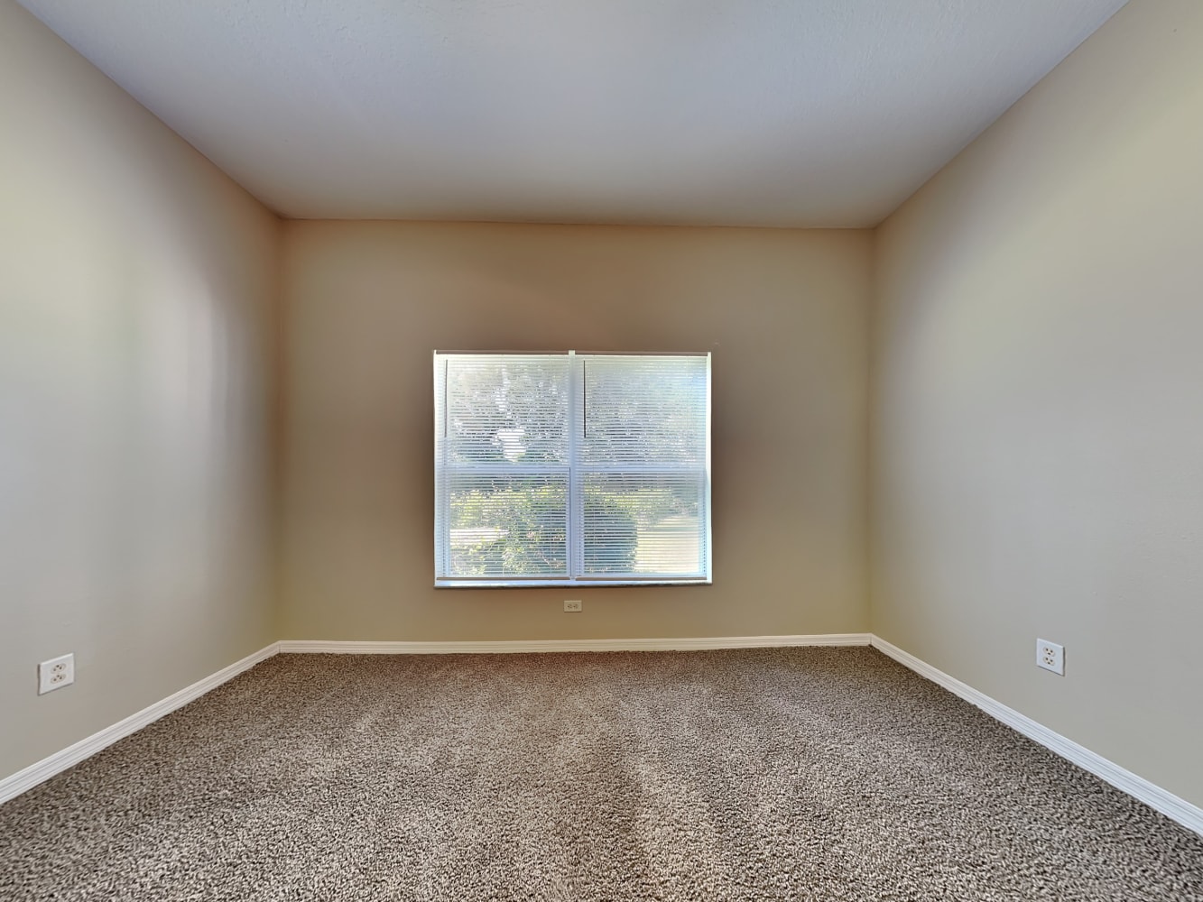 1117 Emerald Hill Way, Valrico photo 9