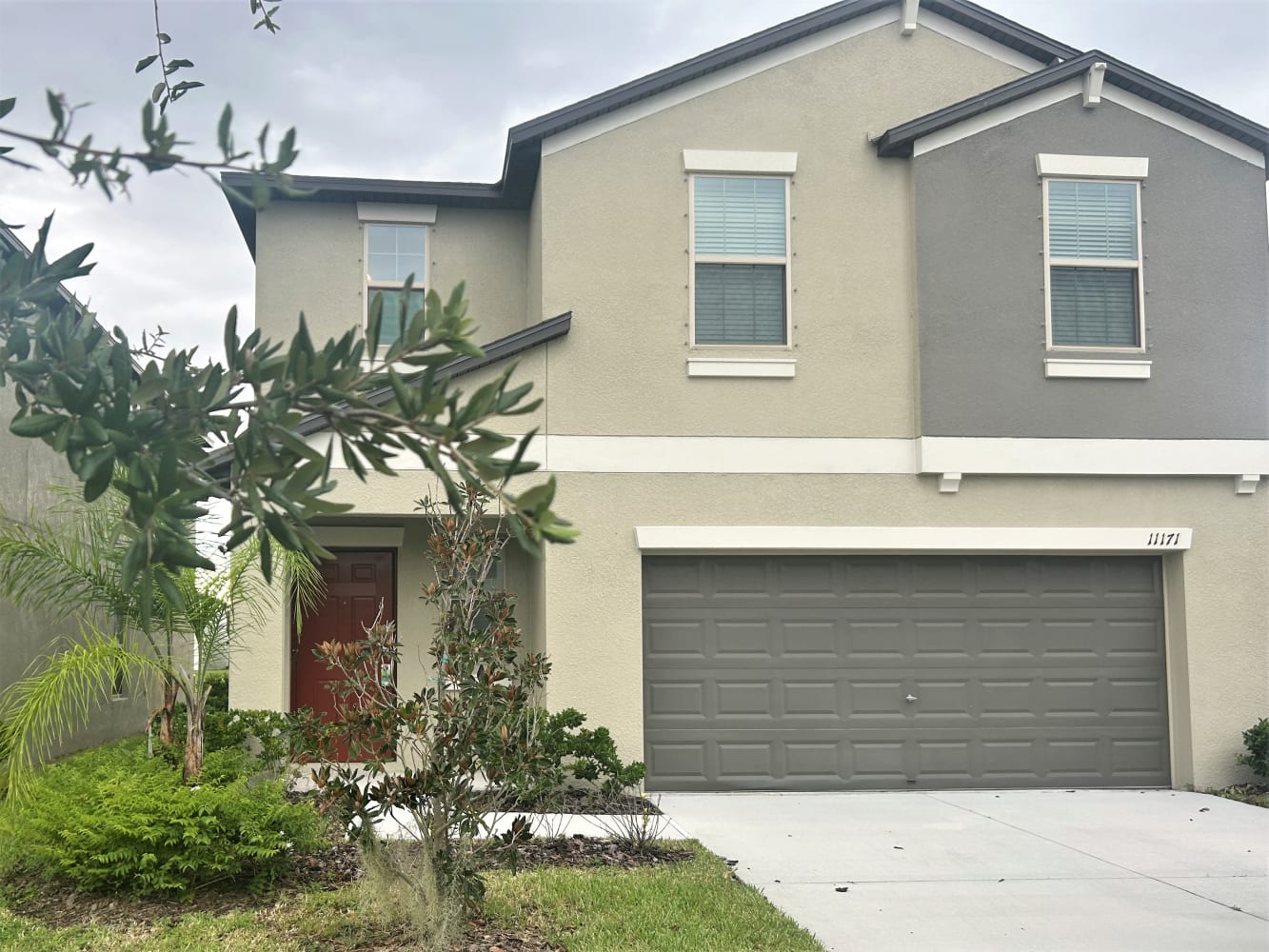 Front of 11171 Riley Pines Cir, Gibsonton, FL