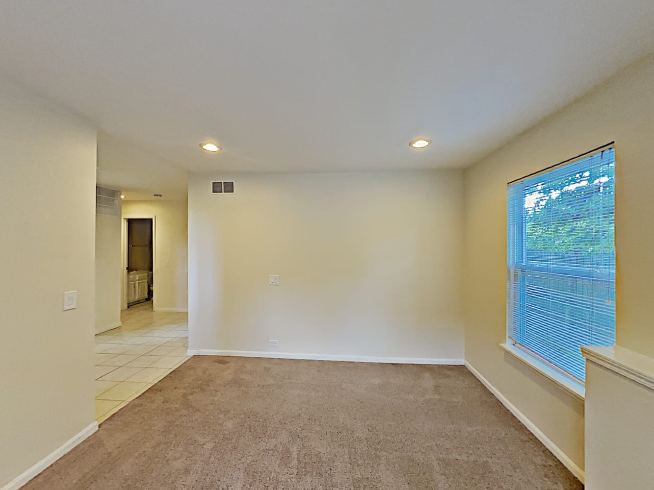 1120 Stonebridge Ct, Elgin photo 9
