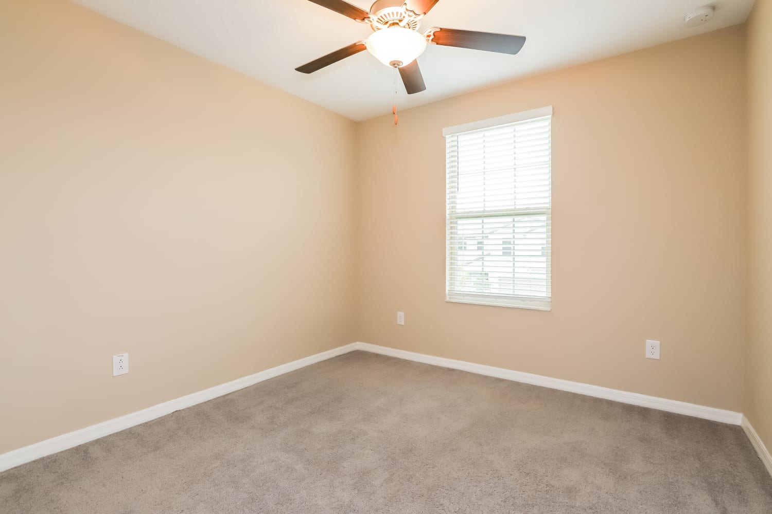 11223 Riley Pines Cir, Gibsonton photo 13
