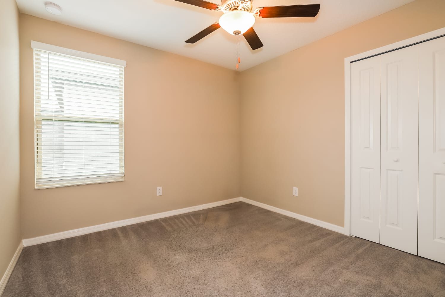 11223 Riley Pines Cir, Gibsonton photo 11