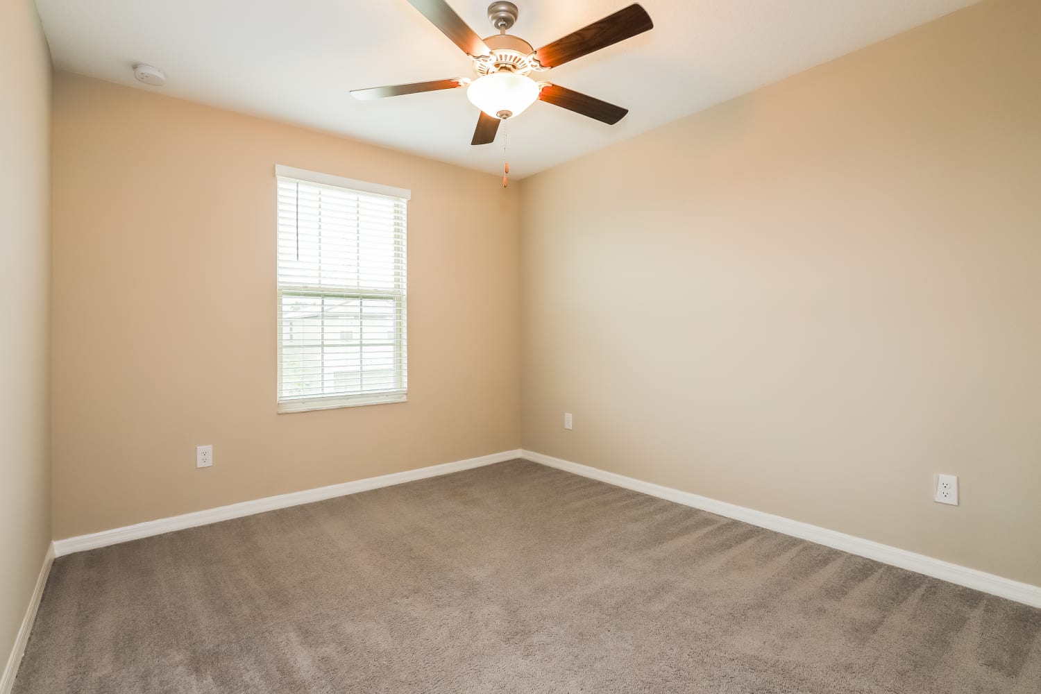 11223 Riley Pines Cir, Gibsonton photo 12