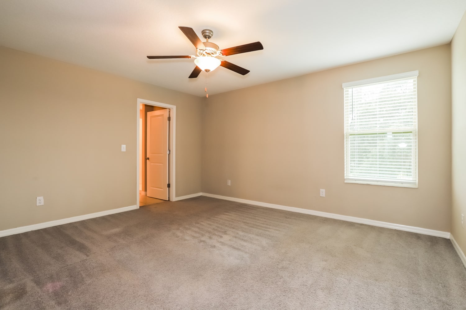 11223 Riley Pines Cir, Gibsonton photo 10