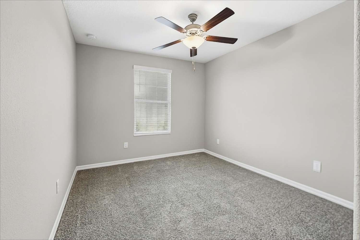 11264 Riley Pines Cir, Gibsonton photo 13