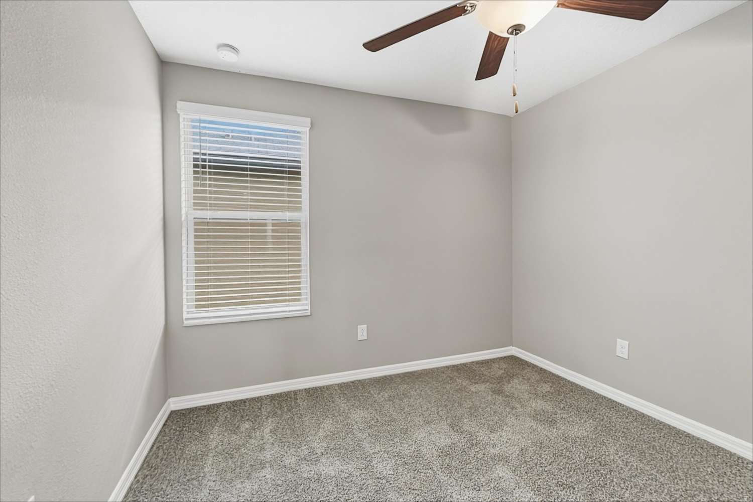 11264 Riley Pines Cir, Gibsonton photo 15
