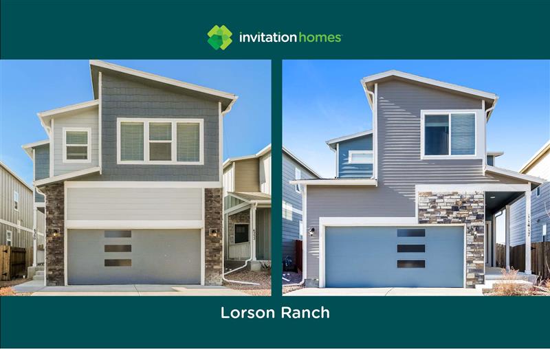 11286 House Finch Ln, Colorado Springs photo 1