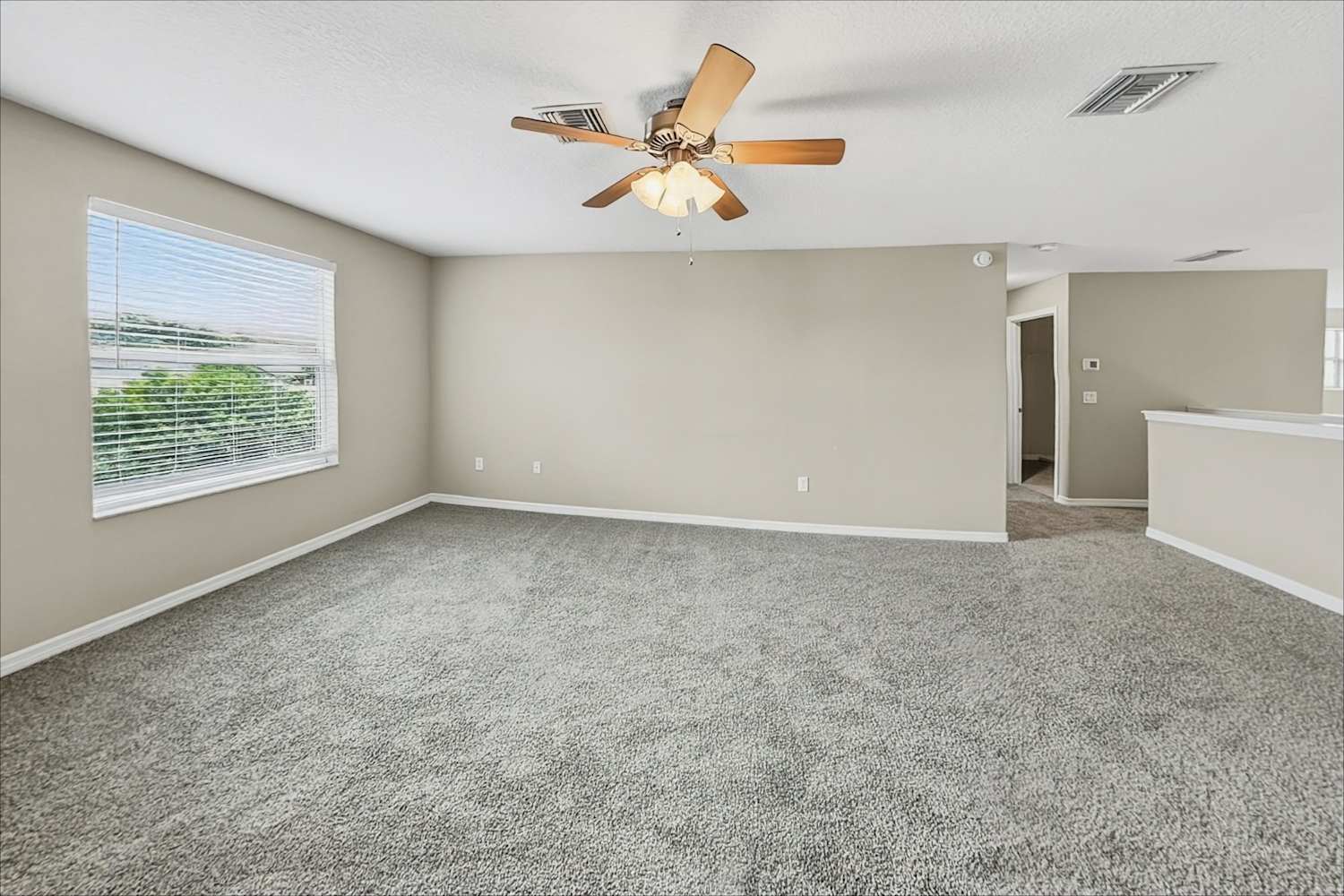 11430 Flora Springs Dr, Riverview photo 10