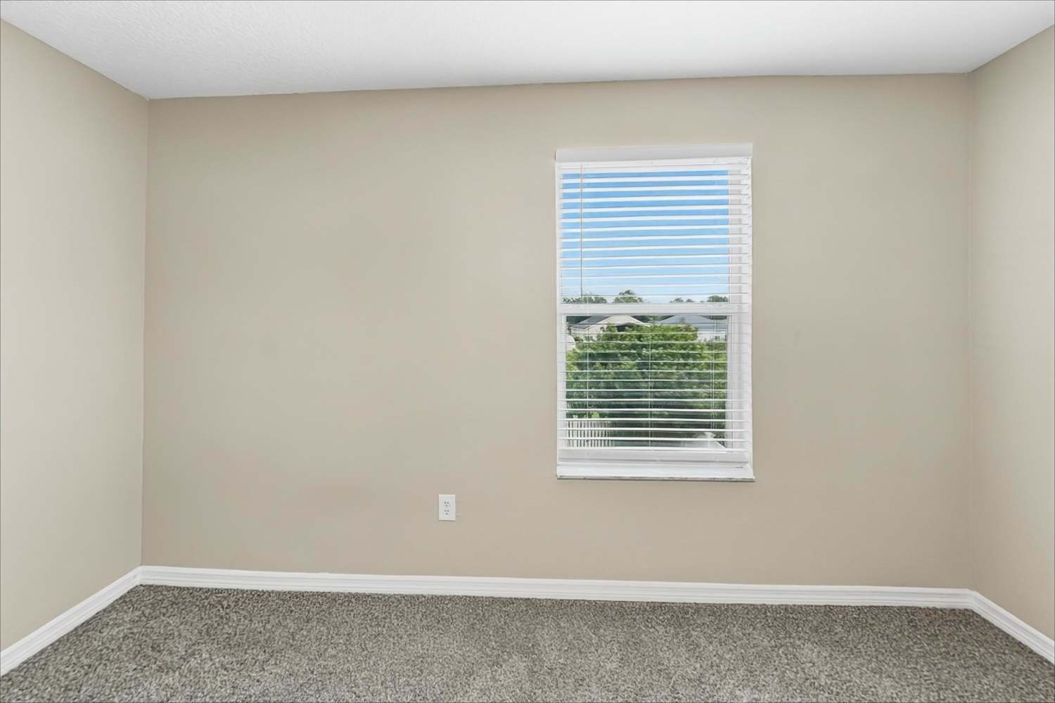 11430 Flora Springs Dr, Riverview photo 18