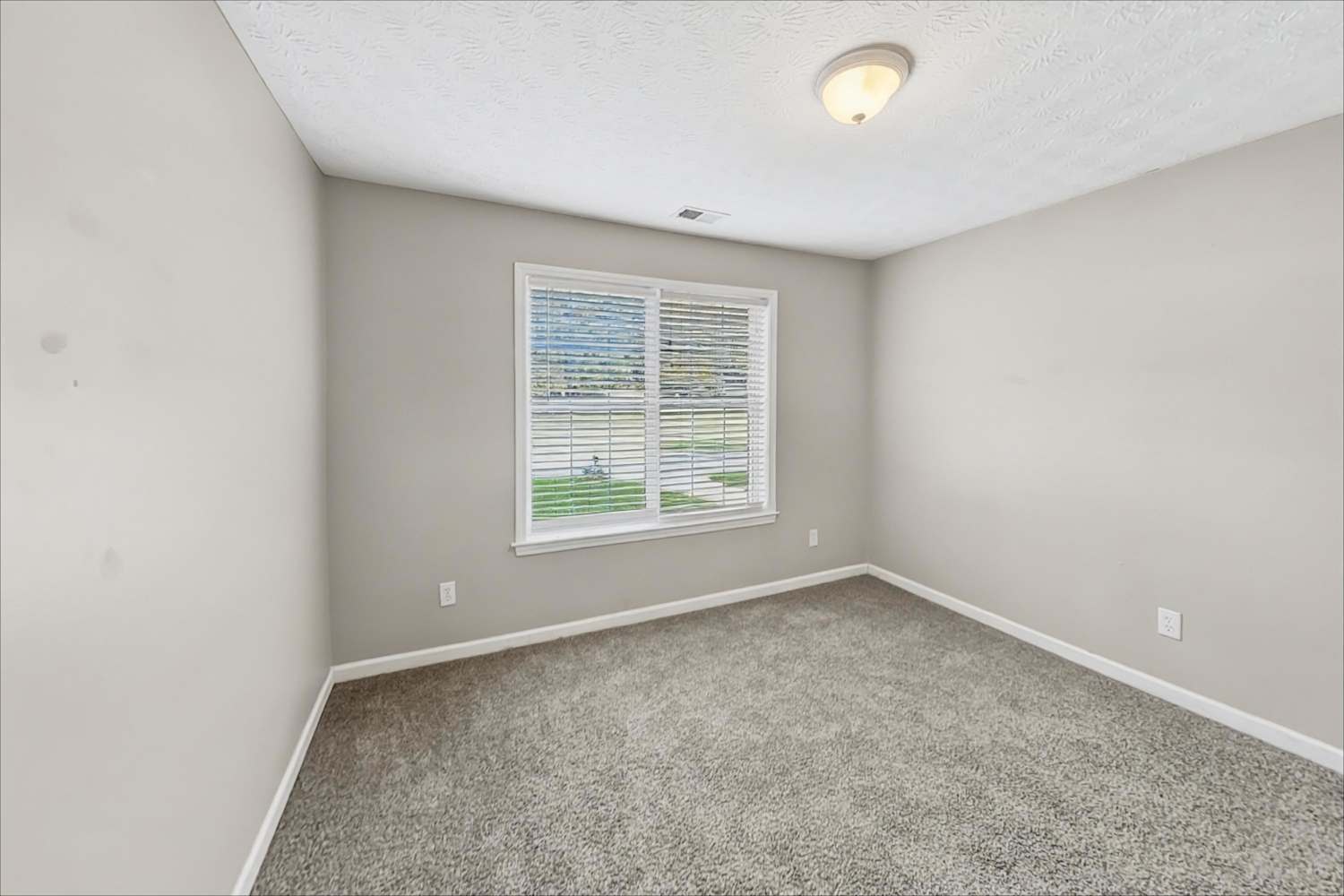 115 Masters Dr, Newnan photo 18