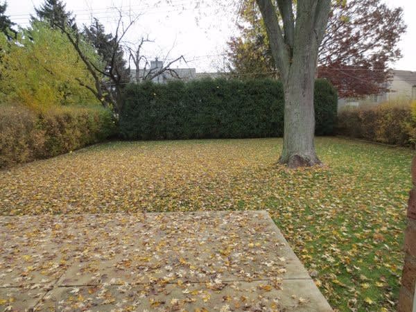 1159 Blackhawk Dr, Elgin photo 30