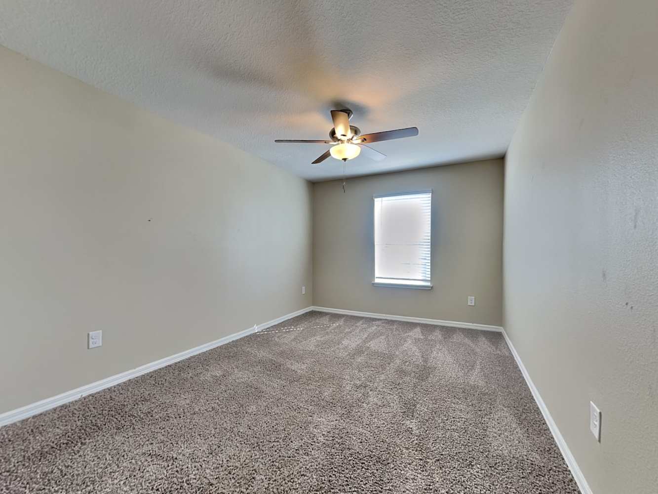 11614 Mandevilla View Way, Riverview photo 13