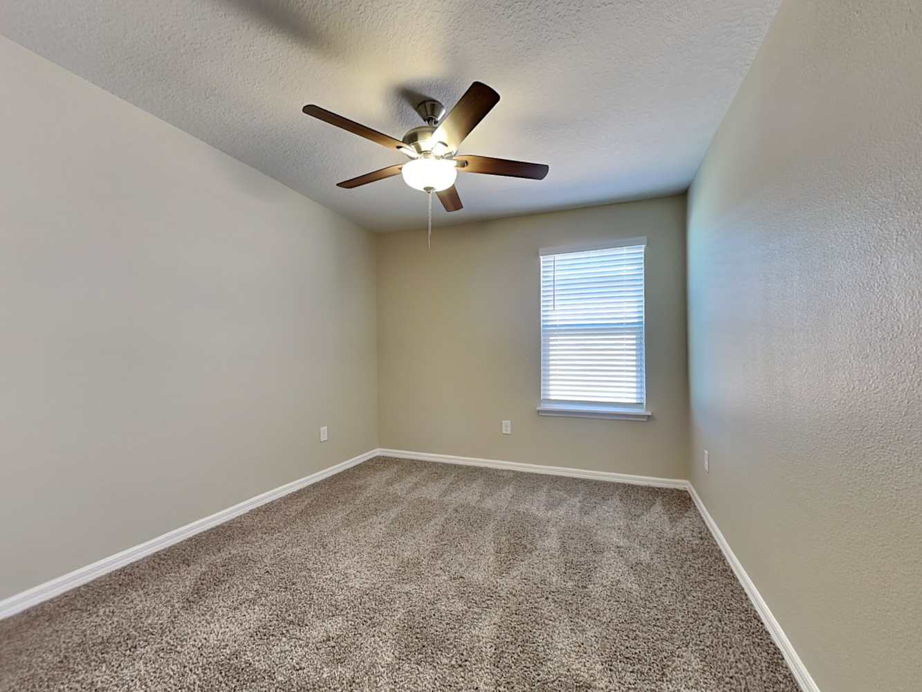 11614 Mandevilla View Way, Riverview photo 15