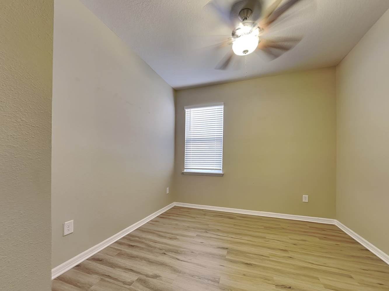11614 Mandevilla View Way, Riverview photo 11
