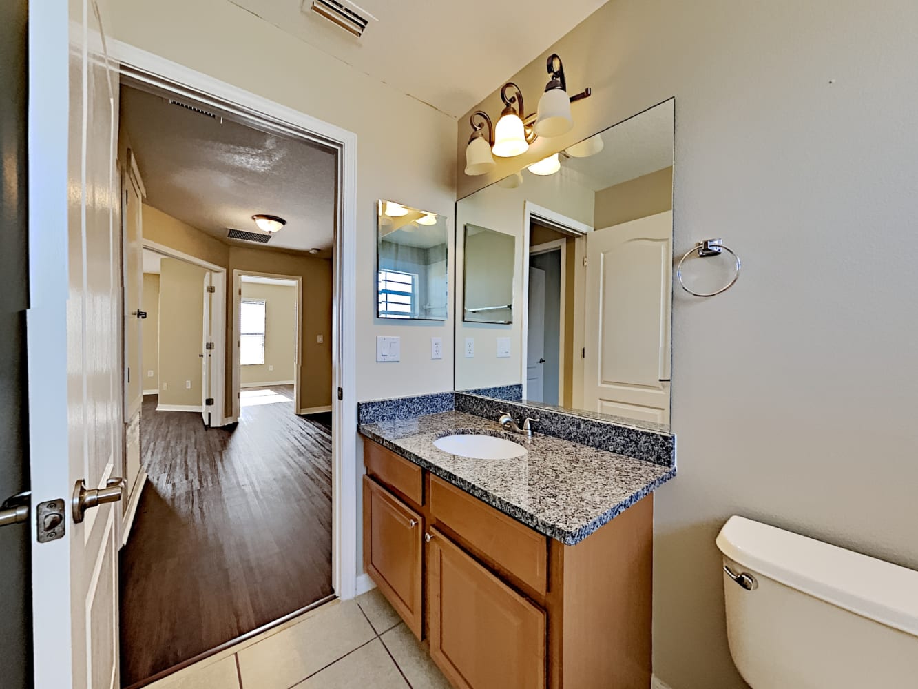 11621 Addison Chase Dr, Riverview photo 30