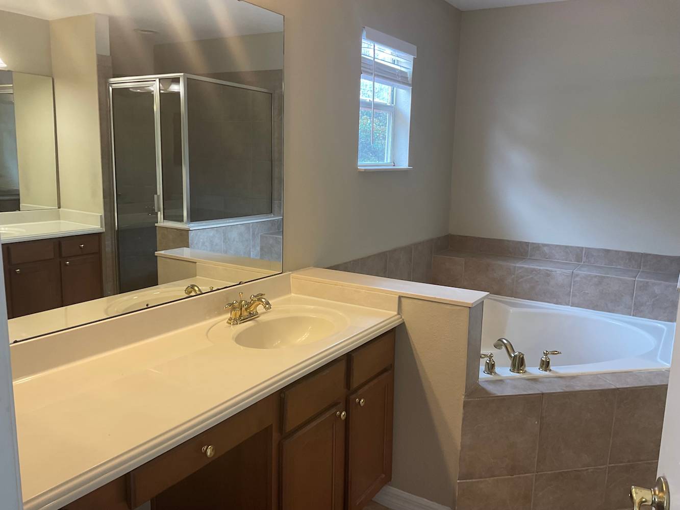 11719 Bella Milano Ct, Windermere photo 10