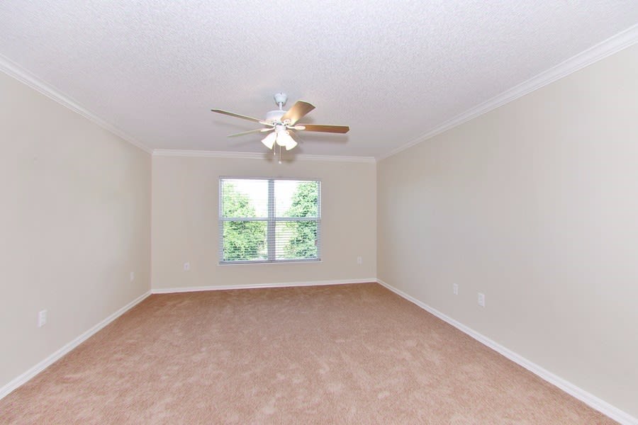 11806 Bentry St, Orlando photo 13
