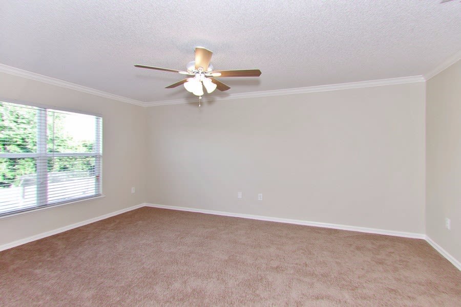 11806 Bentry St, Orlando photo 12
