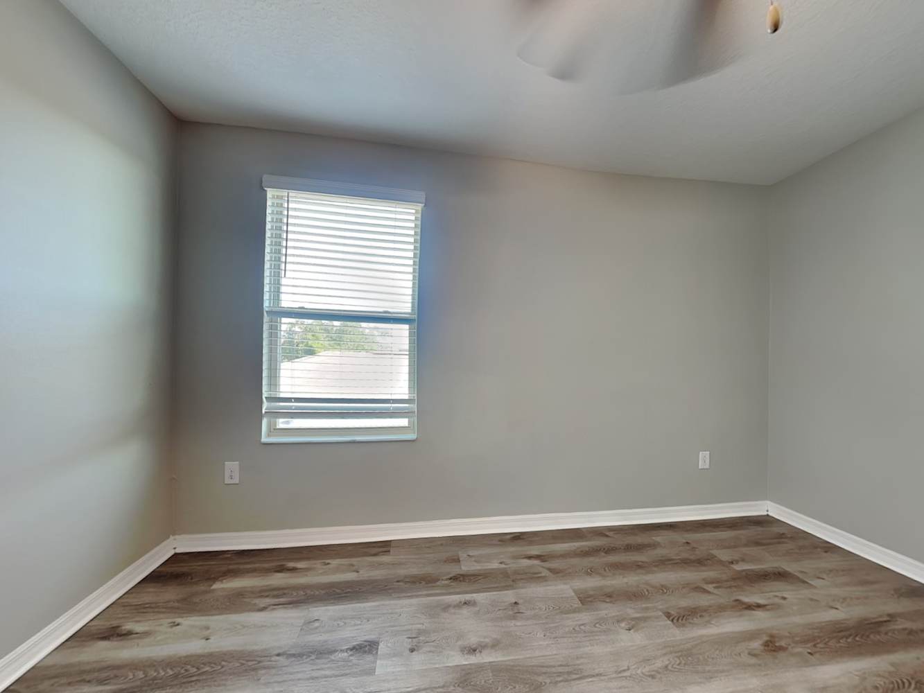 11908 Miracle Mile Dr, Riverview photo 11