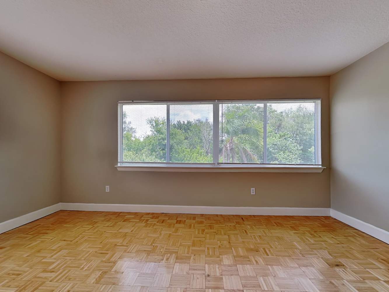 11926 Lark Song Loop, Riverview photo 20