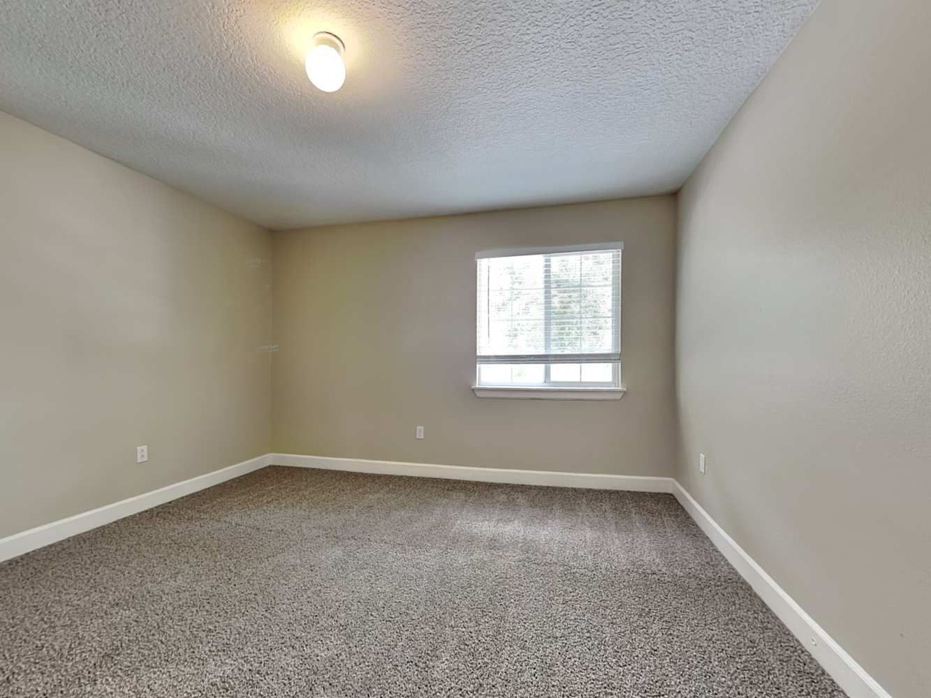 11926 Lark Song Loop, Riverview photo 16