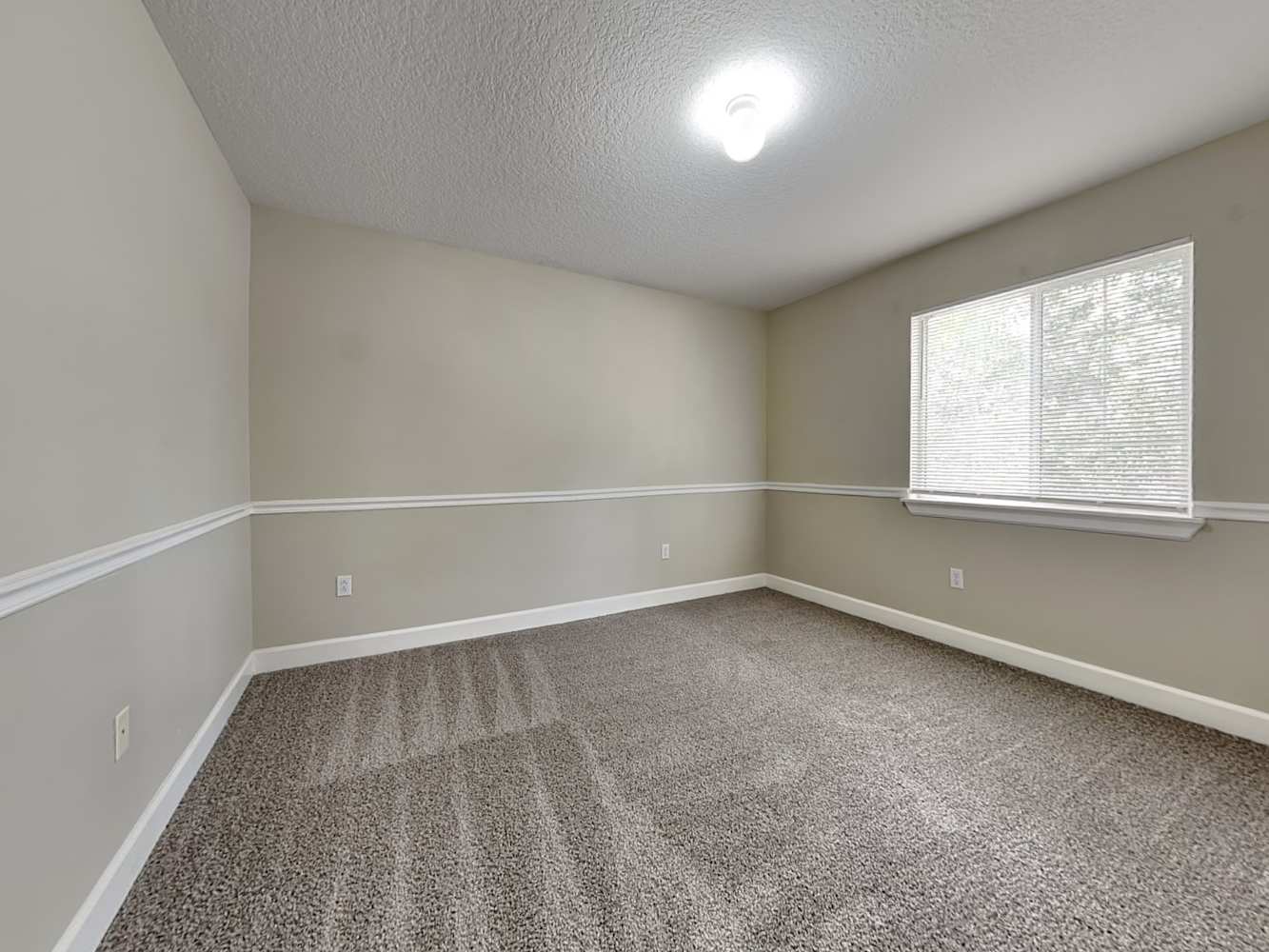 11926 Lark Song Loop, Riverview photo 14