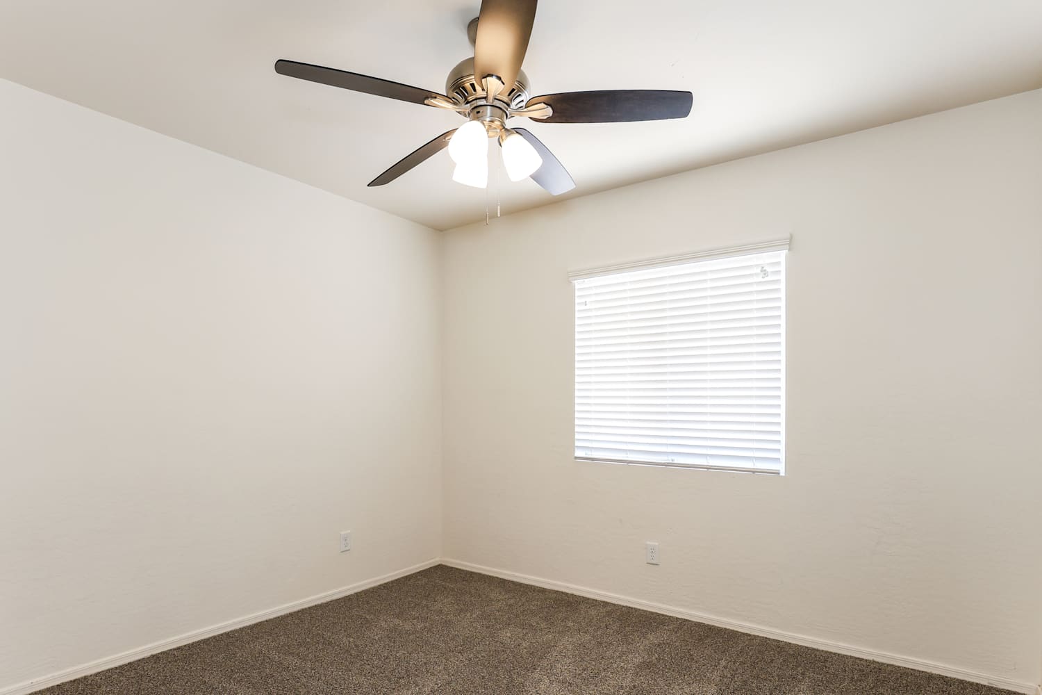 12014 W Holly St, Avondale photo 13
