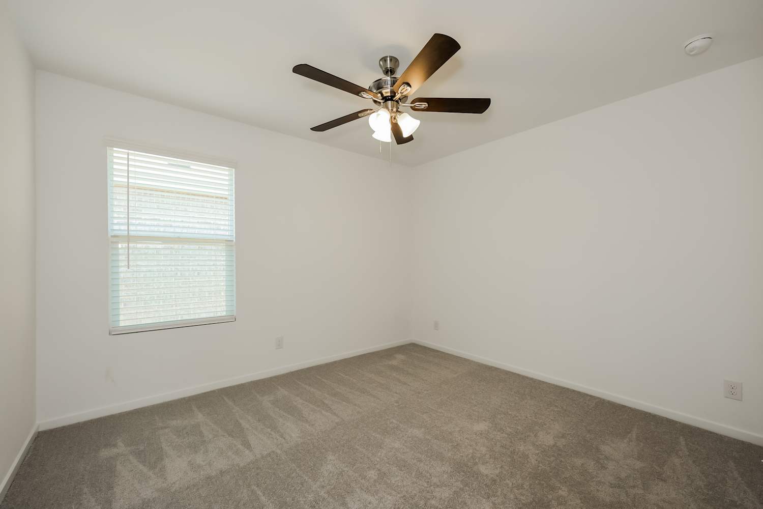 1202 Canyon Wren Drive, Forney photo 12