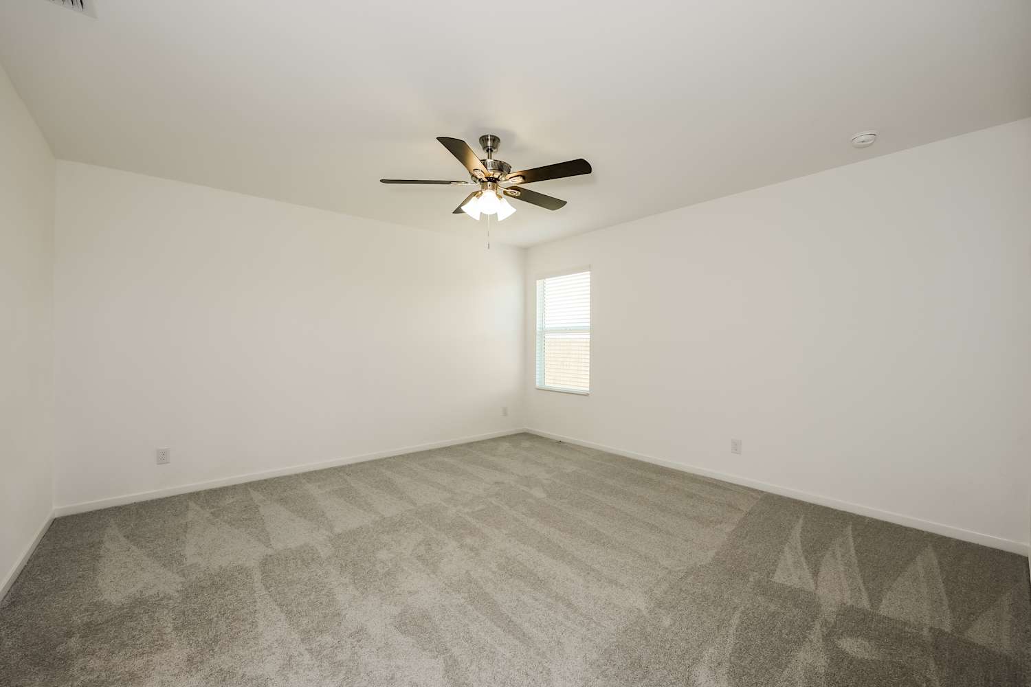 1202 Canyon Wren Drive, Forney photo 9