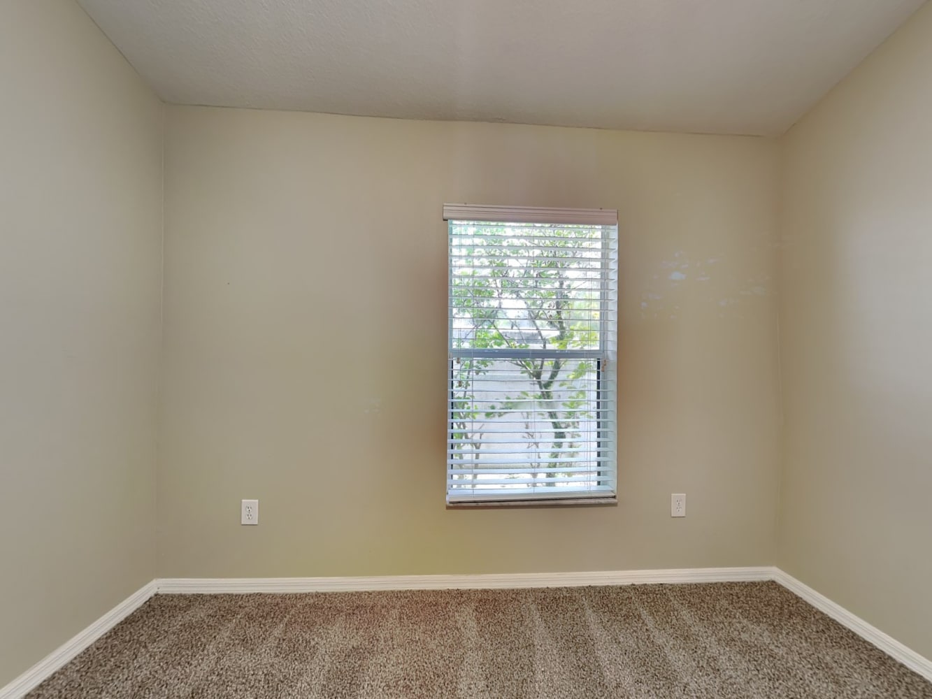 12048 Fall Creek Ct, Hudson photo 12
