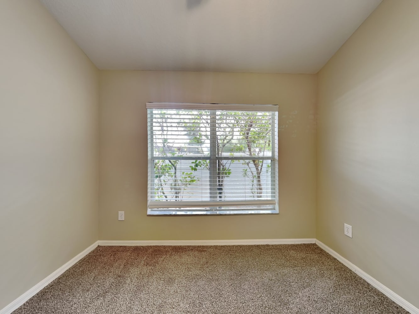 12048 Fall Creek Ct, Hudson photo 14