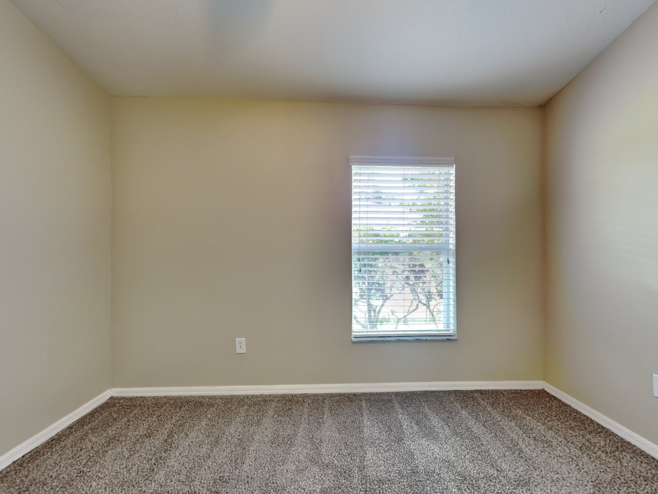 12048 Fall Creek Ct, Hudson photo 13