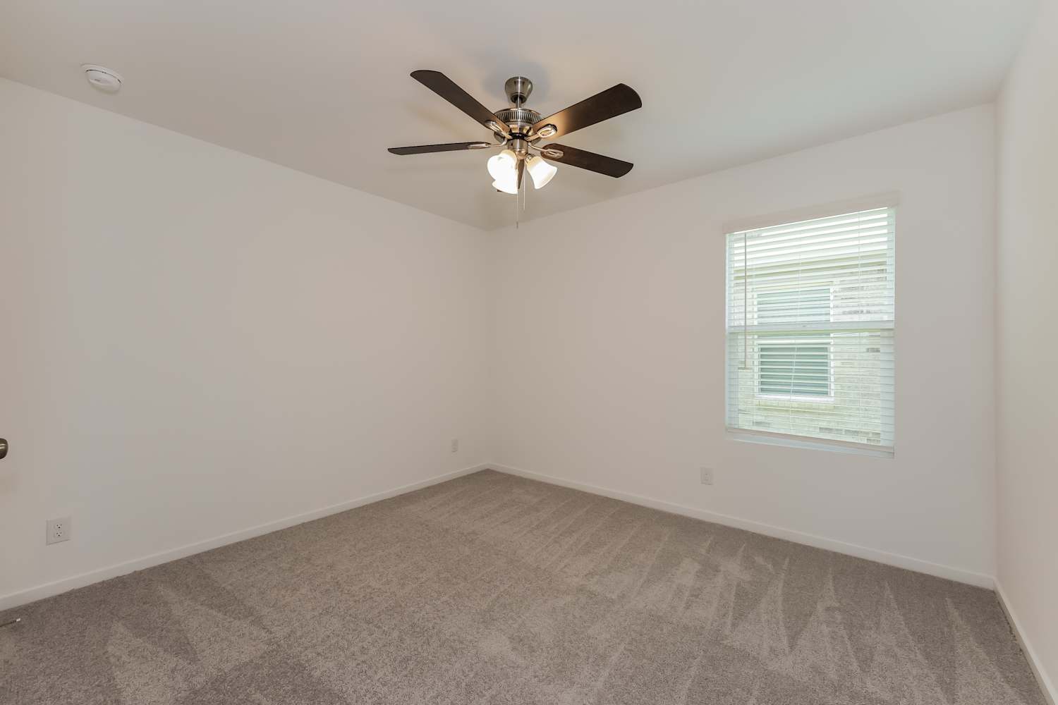 1205 Canyon Wren Drive, Forney photo 12