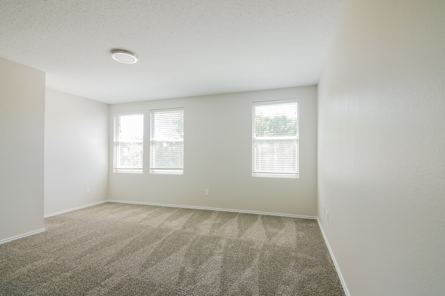 1228 Scarlet Sage Pkwy, Burleson photo 12
