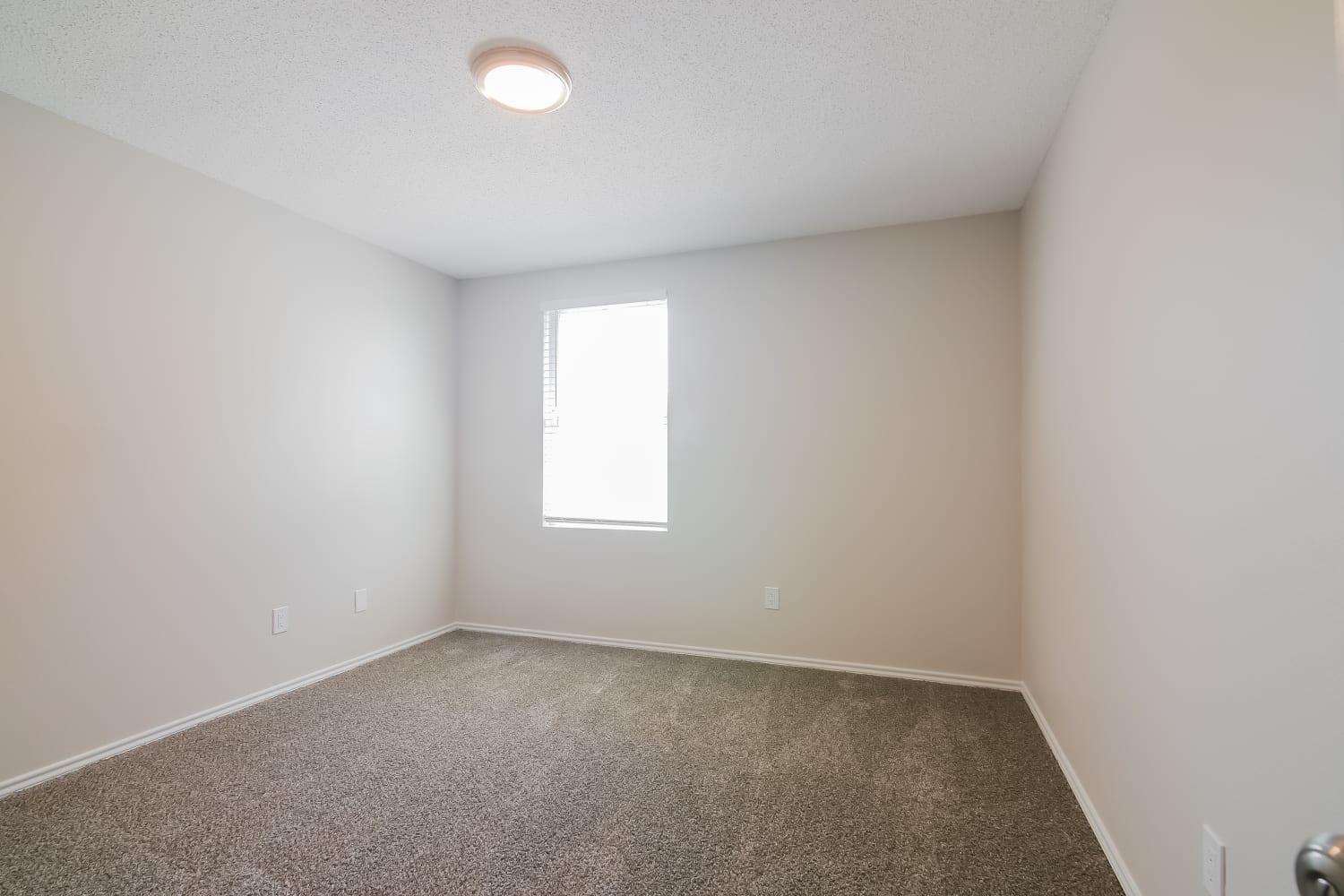 1228 Scarlet Sage Pkwy, Burleson photo 10