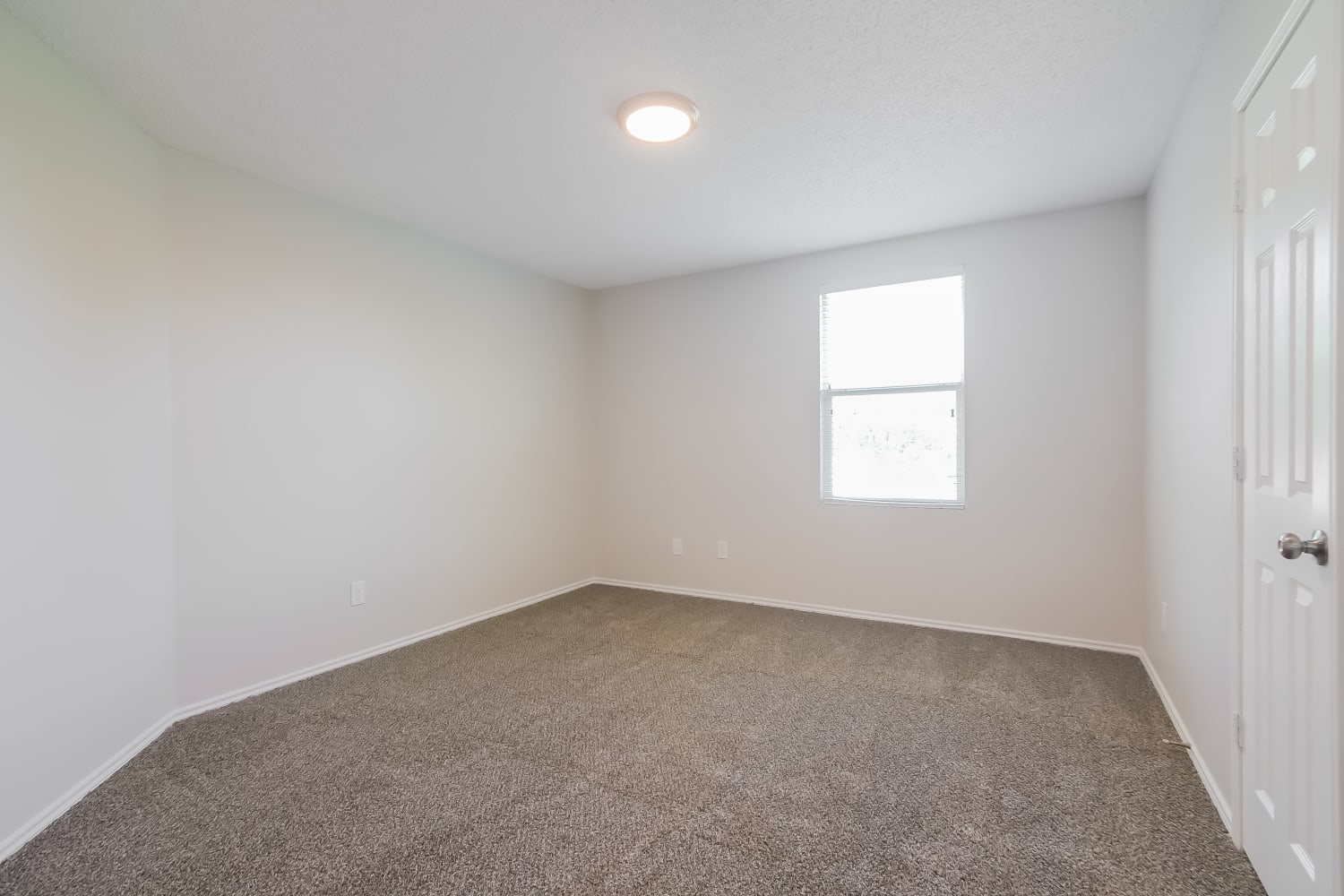 1228 Scarlet Sage Pkwy, Burleson photo 13