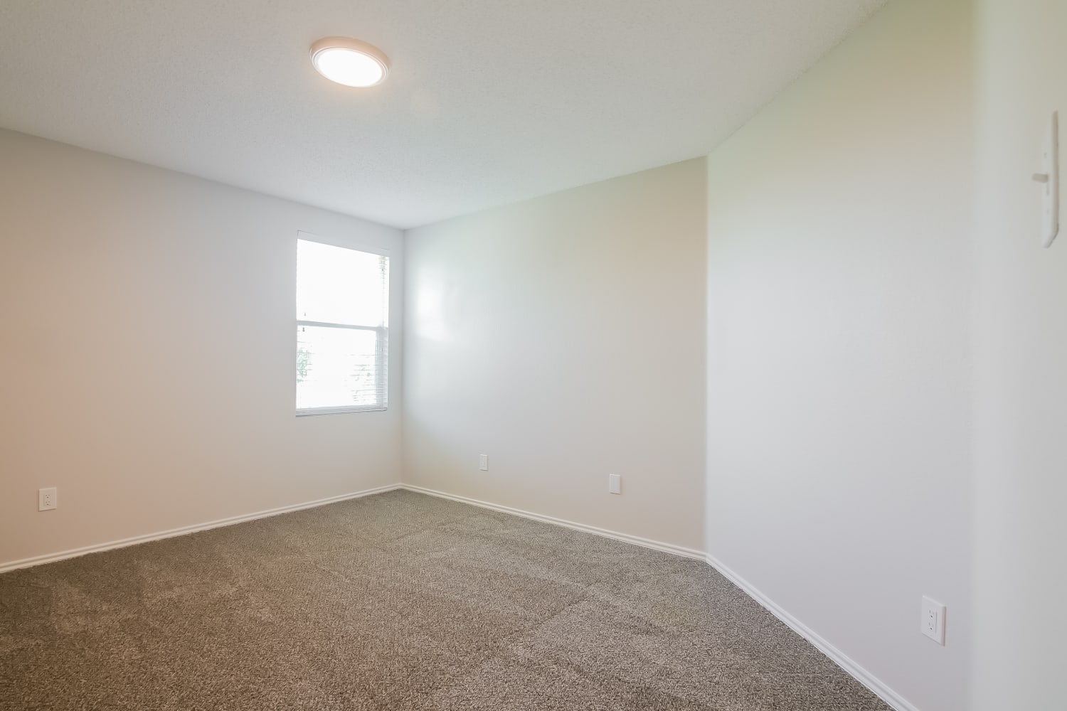 1228 Scarlet Sage Pkwy, Burleson photo 11