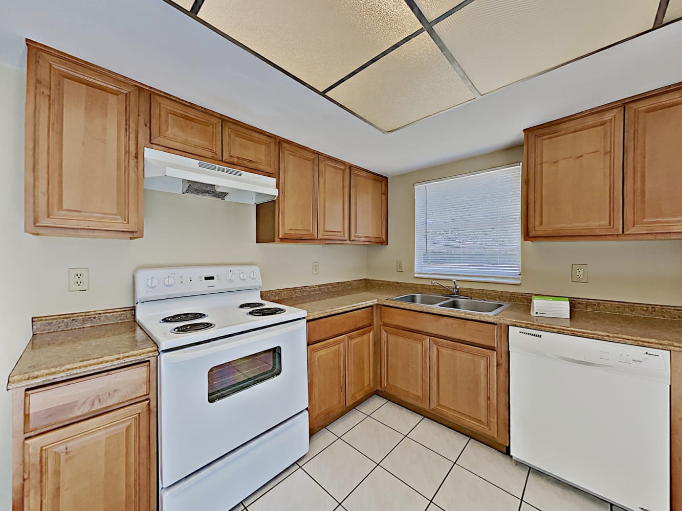 12415 Kiwi Ave, Tampa photo 6
