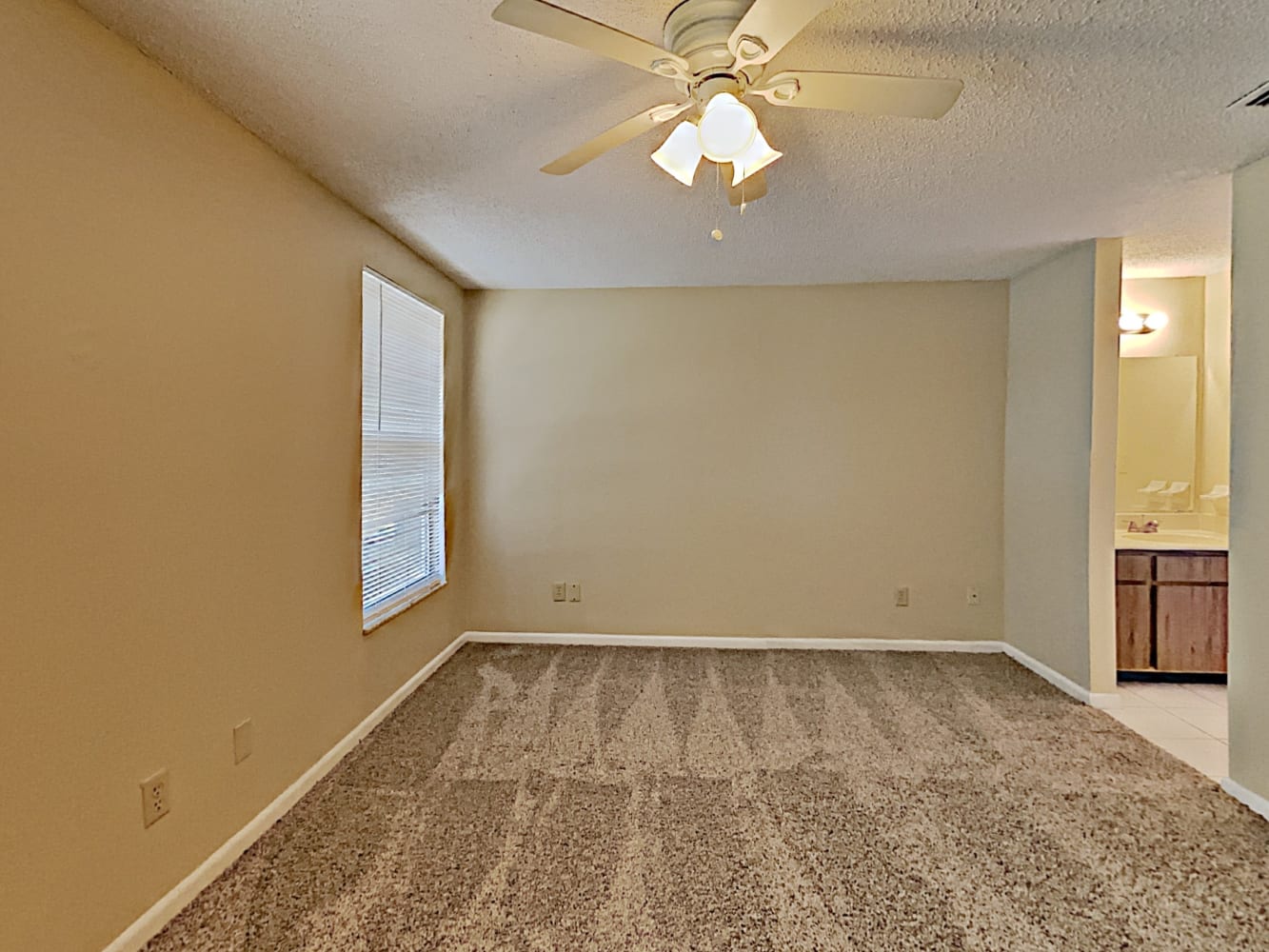 12415 Kiwi Ave, Tampa photo 10