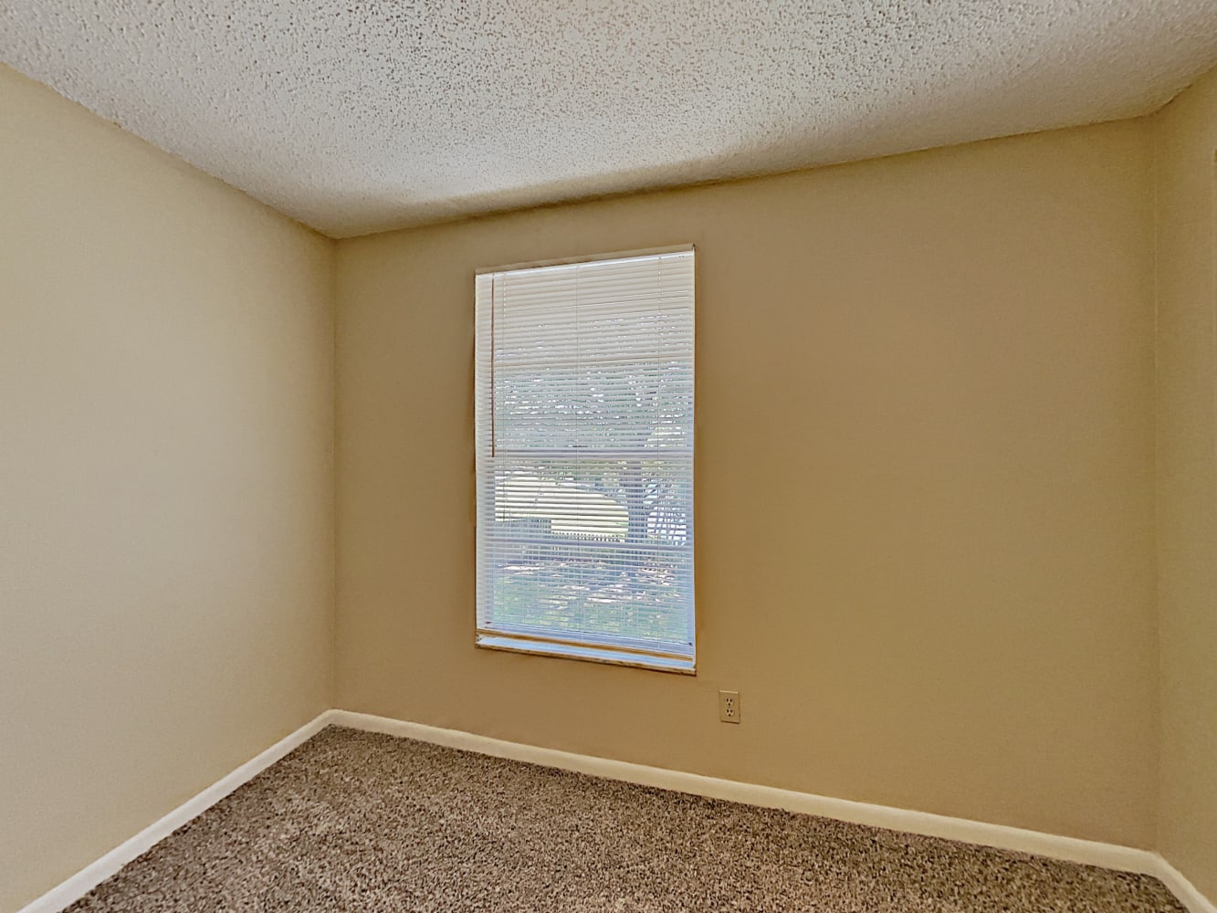 12415 Kiwi Ave, Tampa photo 9
