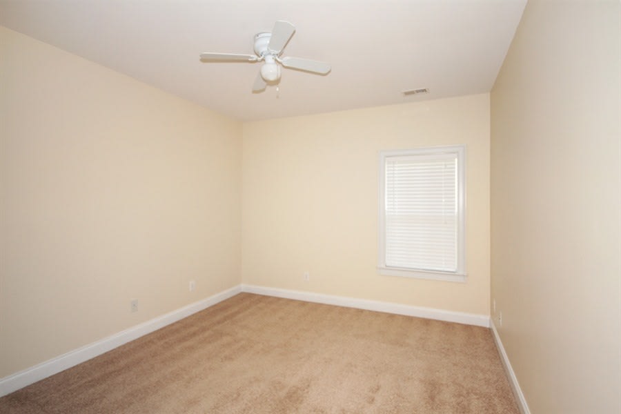 125 Big Cotton Trl, McDonough photo 11