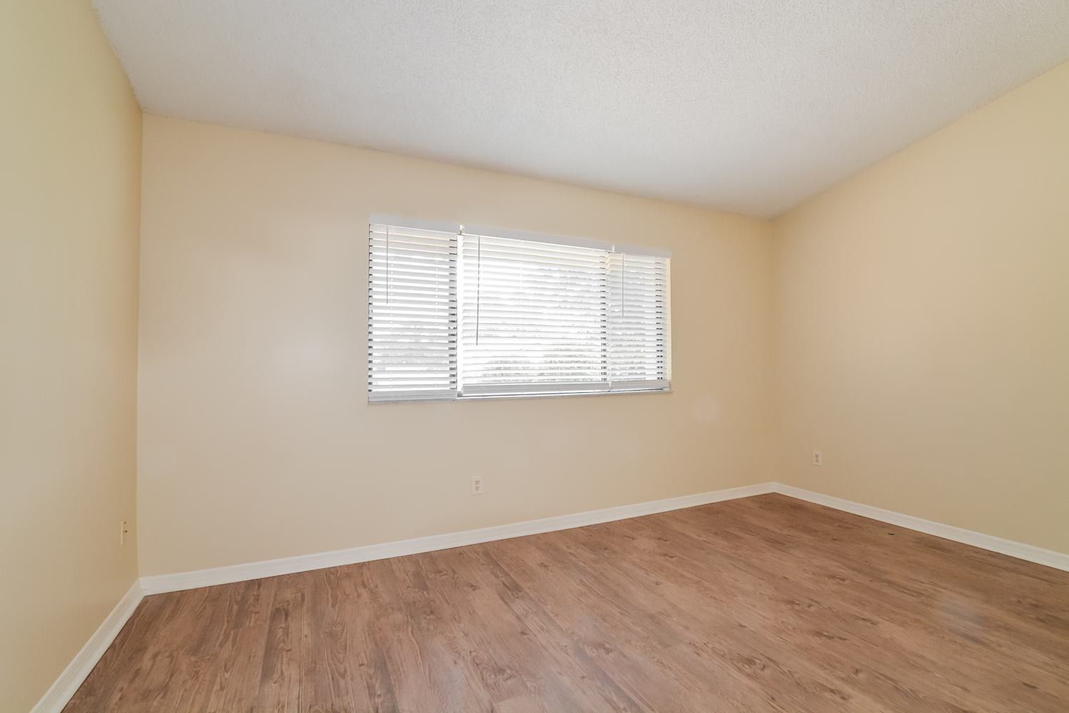 125 Ingram Cir, Longwood photo 12