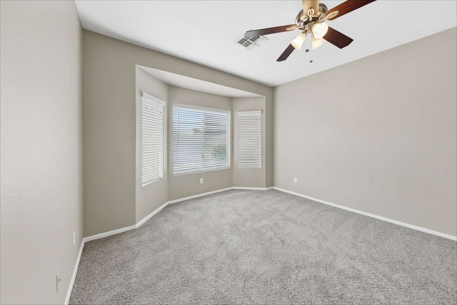12533 W Redondo Dr, Litchfield Park photo 12