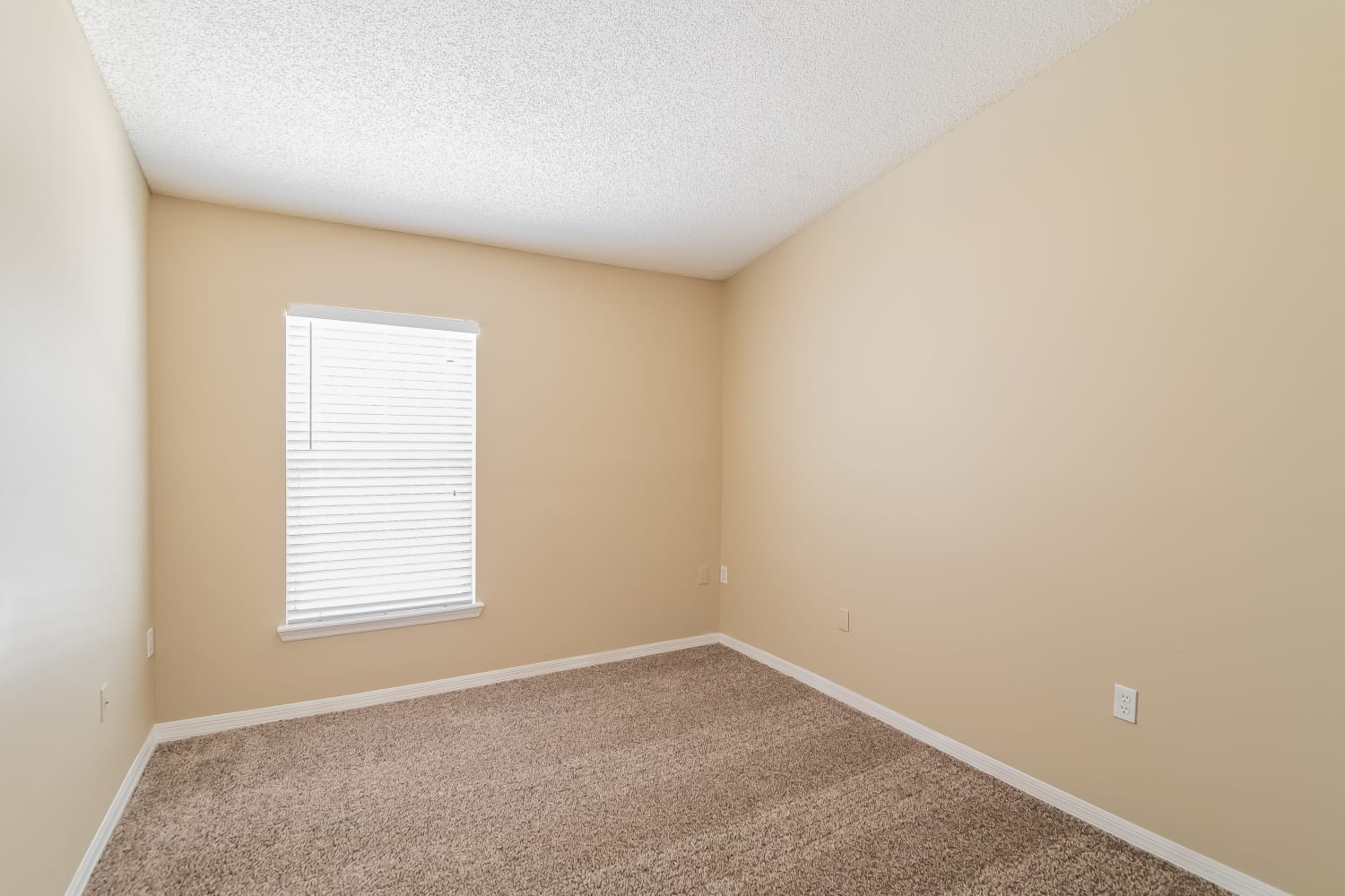 12579 Bent Bay Trl, Jacksonville photo 13
