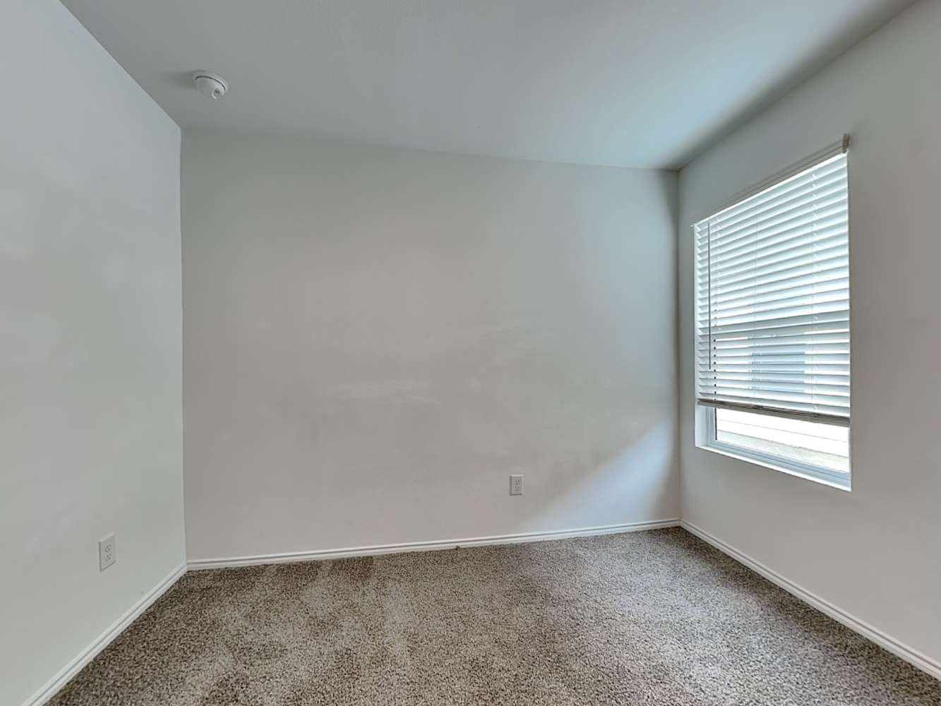 126 Branch Village Wy, Princeton photo 9