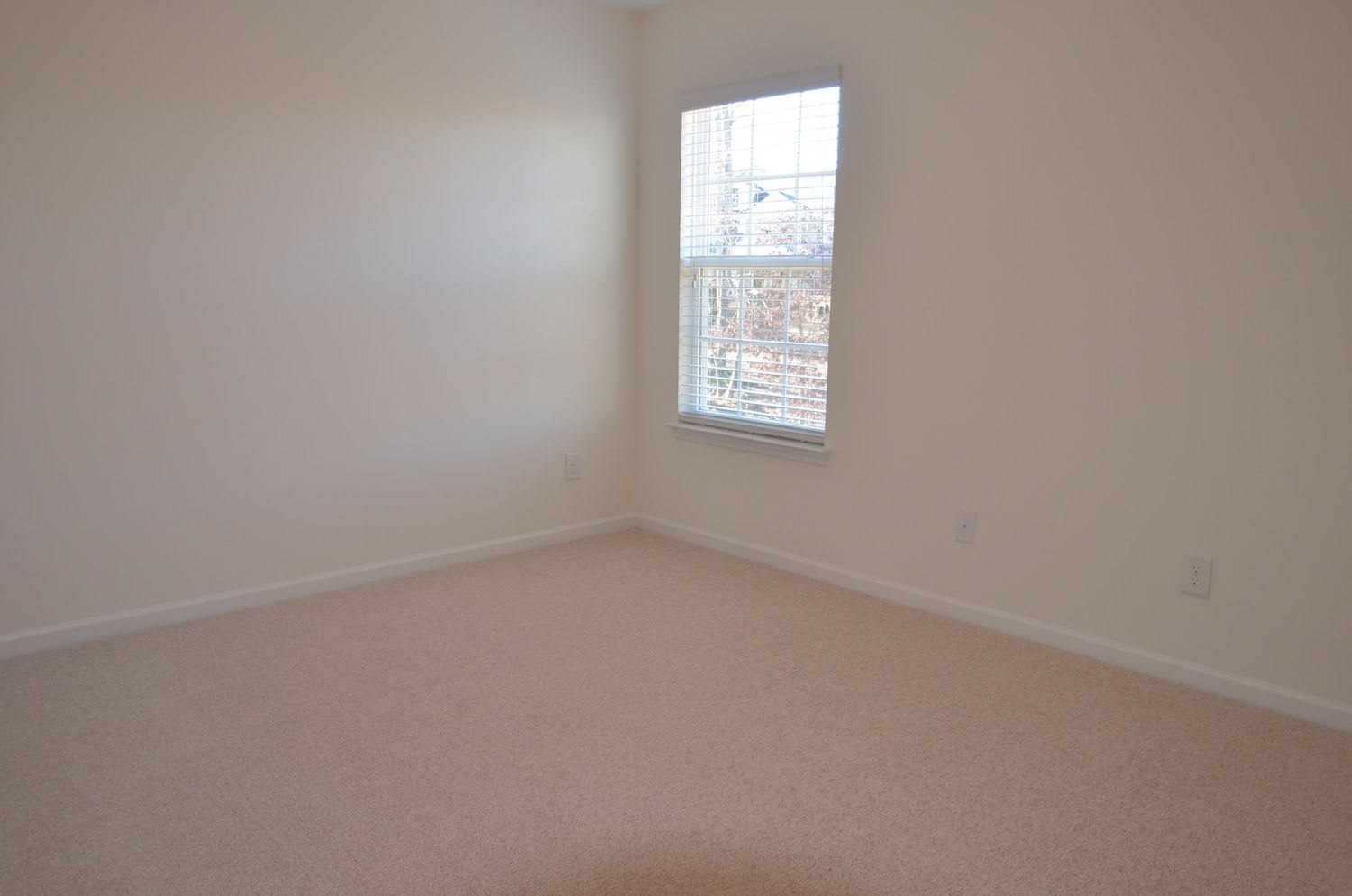 1267 Folkstone Ridge Ln, Winston Salem photo 9