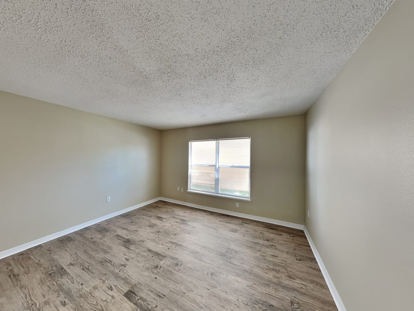 12918 Brookcrest Pl, Riverview photo 5