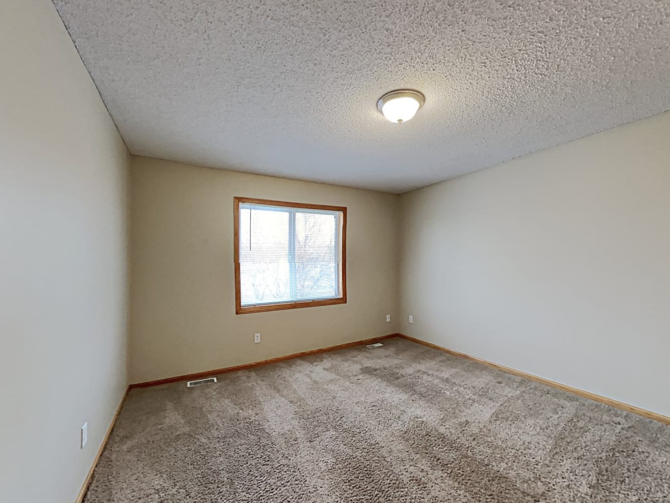 1311 Creekside Dr, Waconia photo 7