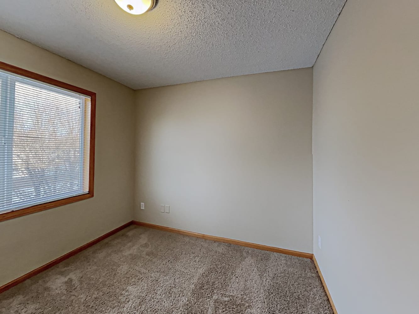 1311 Creekside Dr, Waconia photo 10